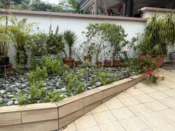 Pinewood Terrace (D25), Terrace #586184531